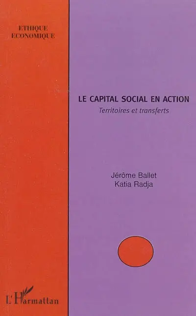 Le capital social en action : territoires et transferts