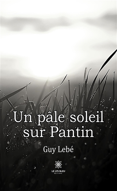 Un pâle soleil sur Pantin
