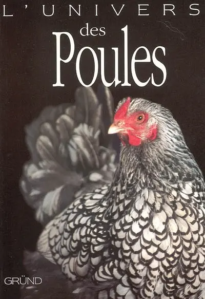 L'univers des poules