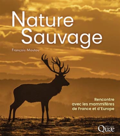 Nature sauvage : rencontre...