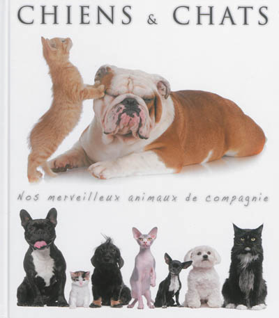Chiens & chats : nos merveilleux animaux de compagnie