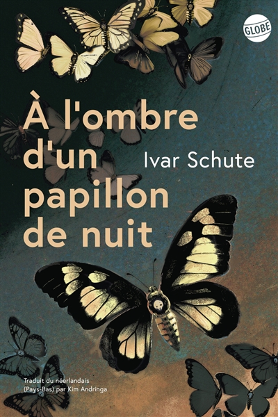 A l'ombre d'un papillon de...