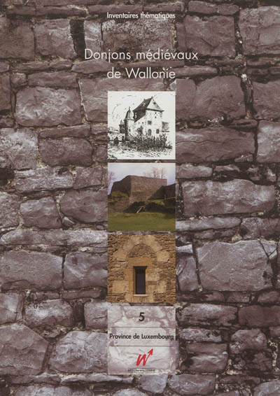 Donjons médiévaux de Wallonie. Vol. 5. Province de Luxembourg : arrondissements de Bastogne, Marche-en-Famenne, Neufchâteau, Virton