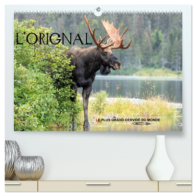 L'ORIGNAL, LE PLUS GRAND CERVIDE DU MONDE (Calendrier mural 2026 DIN A2 vertical) calendrier de bureau : 13 Photographies du plus grand cervidé des forêts d'Amérique du Nord