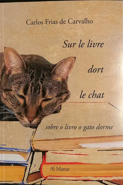Sur le livre dort le chat. Sobre o livro o gato dorme