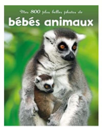 Bébés animaux - Mes 800 plus belles photos de bébés animaux