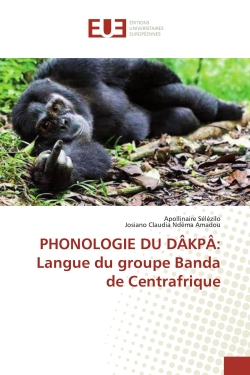 PHONOLOGIE DU DAKPA :...