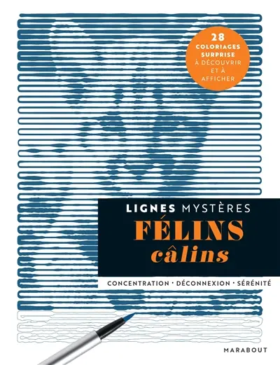 Félins câlins : lignes mystères : concentration, déconnexion, sérénité
