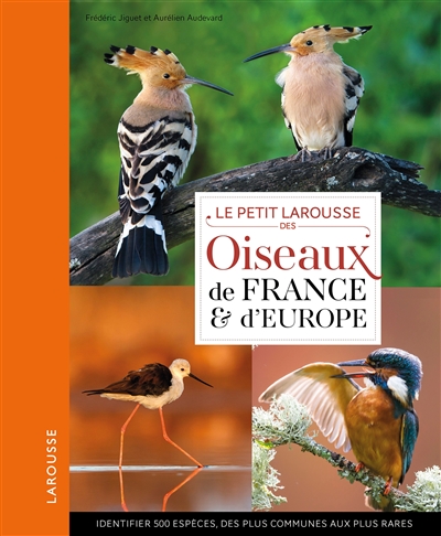 Le petit Larousse des oiseaux de France & d'Europe : identifier 500 espèces, des plus communes aux plus rares