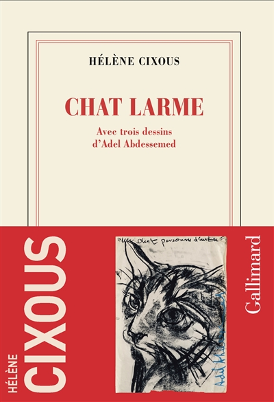 Chat larme