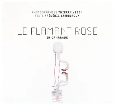 Le flamant rose en Camargue