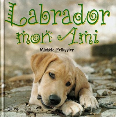 Labrador, mon ami