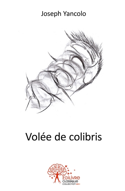 Volée de colibris