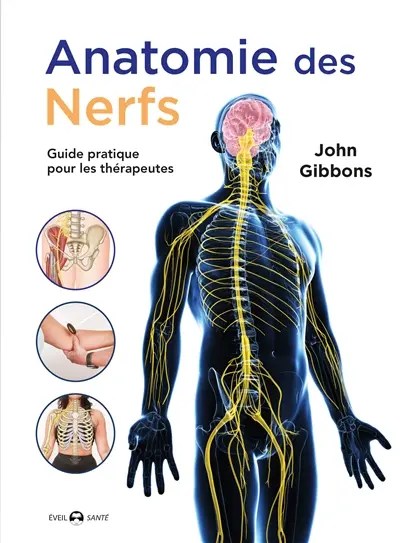 Anatomie des nerfs : un guide pratique pour les thérapeutes Anatomie des nerfs : un guide pratique pour les thérapeutes