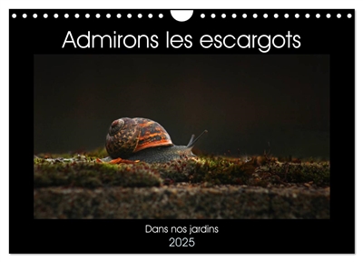 Admirons les escargots (Calendrier mural 2025 DIN A4 vertical), CALVENDO calendrier mensuel : Dans nos jardins