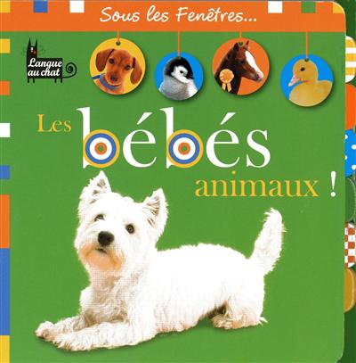 Les bébés animaux !