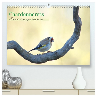 Chardonnerets : Portraits...