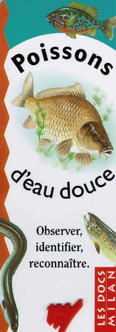 Poissons d'eau douce : observer, identifier, reconnaître