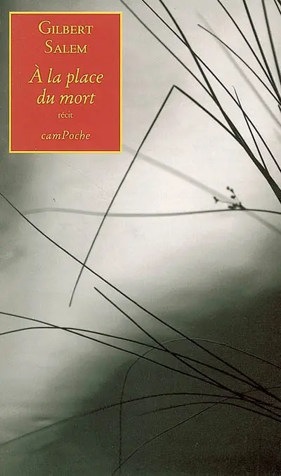 A la place du mort : récit