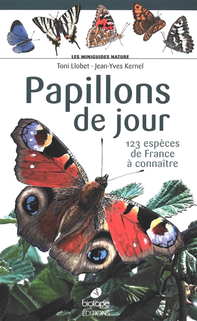 Papillons de jour : 123...