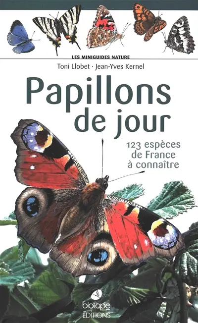 Papillons de jour : 123 espèces de France à connaître