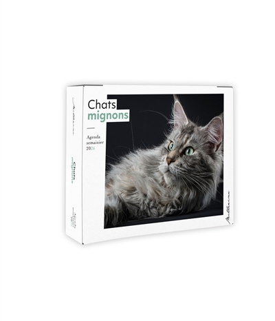 Semainier 2026 : Chats mignons