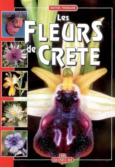 Les fleurs de Crête