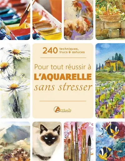 Pour tout réussir à l'aquarelle sans stresser : 240 techniques, trucs & astuces