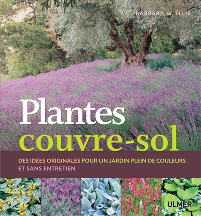 Plantes couvre-sol : des idées originales pour un jardin plein de couleurs et sans entretien