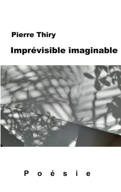 Imprévisible imaginable :...