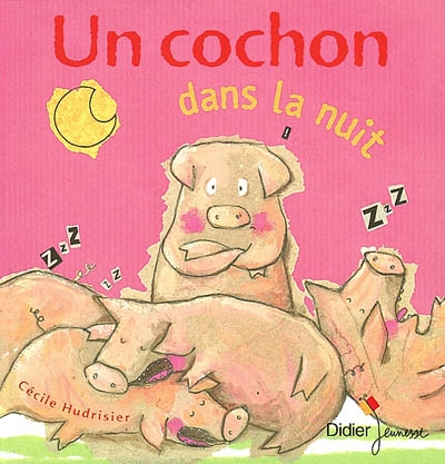 Un cochon dans la nuit