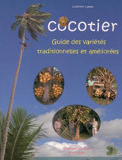Cocotier : guide des variétés traditionnelles et améliorées