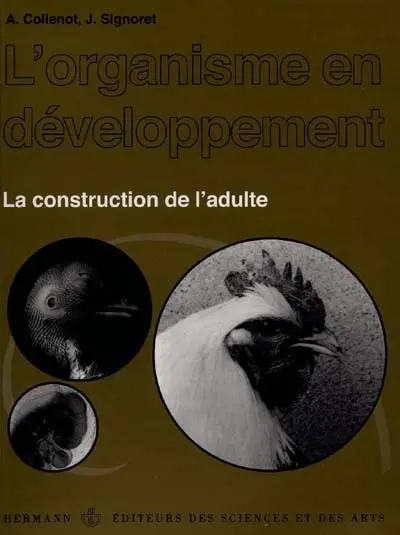 Le dodécalogue : ou comment Lucy est-elle devenue religieuse ?
