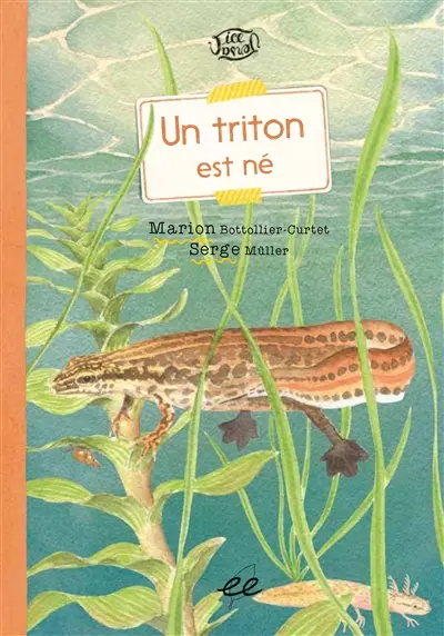 Un triton est né : une histoire racontée par le professeur E. Zillère. Dans une mare : une histoire racontée par le professeur E. Zillère