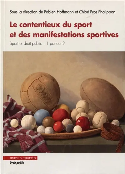 Le contentieux du sport et des manifestations sportives : sport et droit public : 1 partout ?