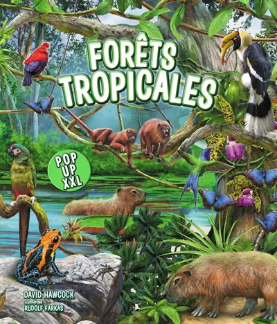 Forêts tropicales