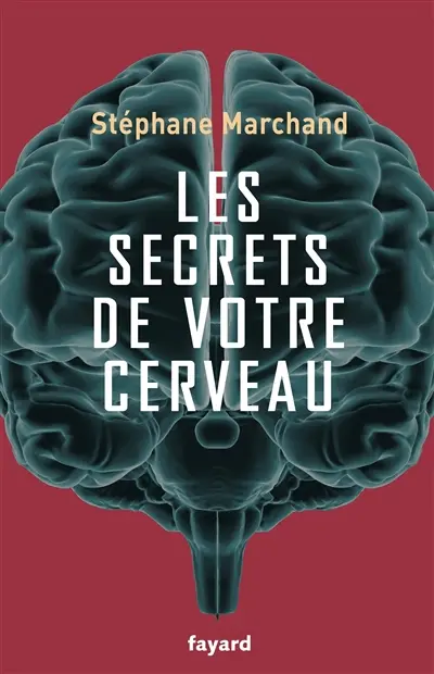 Les secrets de votre cerveau