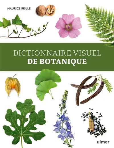 Dictionnaire visuel de botanique : éléments de botanique descriptive des végétaux vasculaires