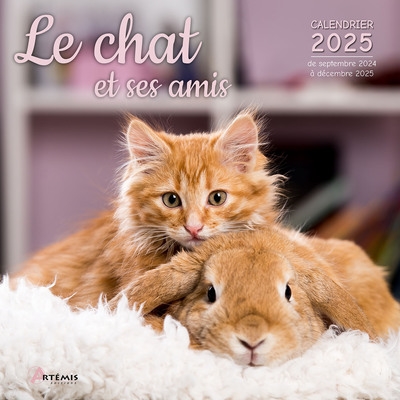 le chat et ses amis : calendrier 2025 : de septembre 2024 à décembre 2025