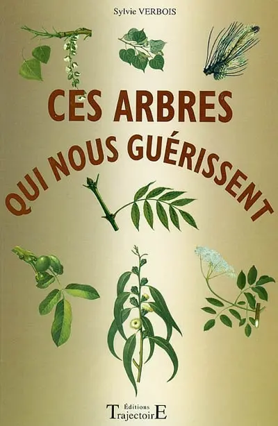 Ces arbres qui nous guérissent