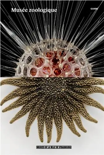 Musée zoologique : guide