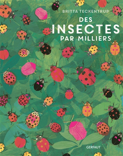 Des insectes par milliers