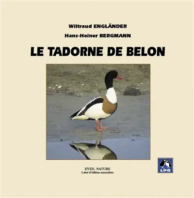 Le tadorne de Belon