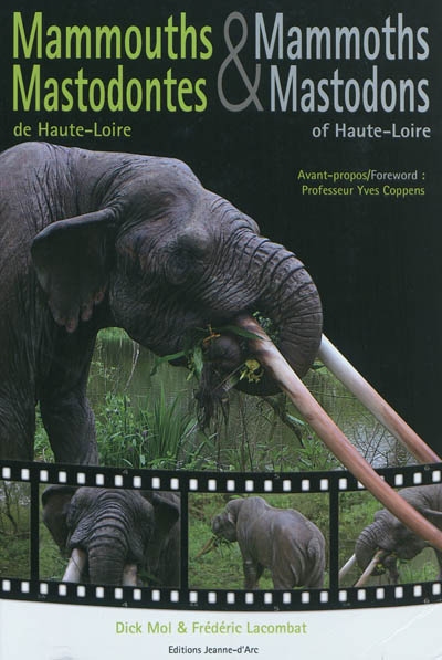 Mammouths & mastodontes de Haute-Loire. Mammoths & mastodons of Haute-Loire