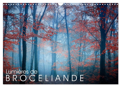 Lumières de Brocéliande (Calendrier mural 2026 DIN A3 vertical), CALVENDO calendrier mensuel : Images de la forêt de Brocéliande