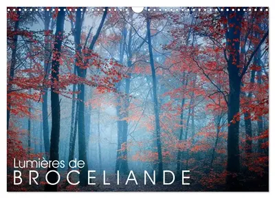 Lumières de Brocéliande (Calendrier mural 2026 DIN A3 vertical), CALVENDO calendrier mensuel : Images de la forêt de Brocéliande