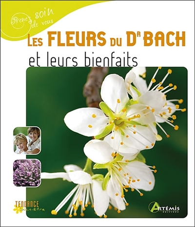 Les fleurs du Dr Bach et leurs bienfaits
