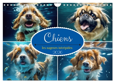 Chiens : les nageurs...