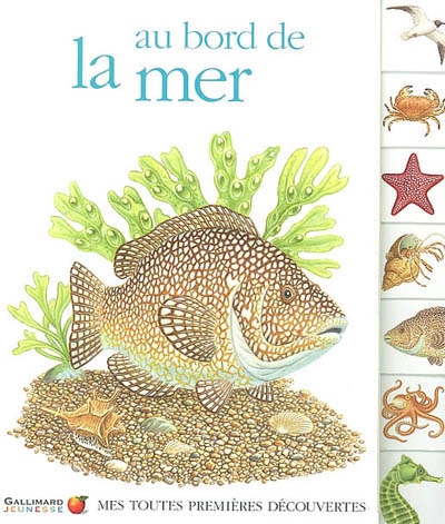 Au bord de la mer