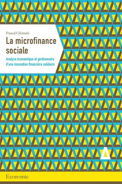 La microfinance sociale : analyse économique et gestionnaire d'une innovation financière solidaire